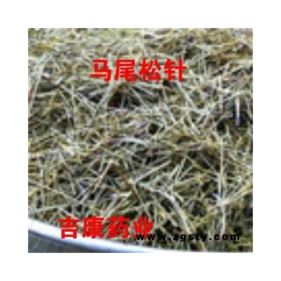 松针 松叶 马尾松针 松针