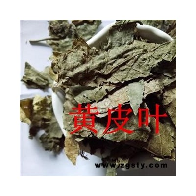 黄皮叶 黄皮叶统货 产地 广西壮族自治区 买好药找娟子