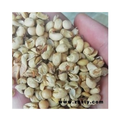 新辉药业大豆卷 大豆黄卷 大豆蘖 黄卷 黄卷皮