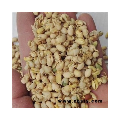 吉康药业大豆黄卷   大豆卷 大豆蘖 黄卷 卷蘖 黄卷皮