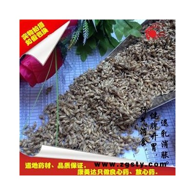 麦芽 生麦芽（全芽） 产地 河南省