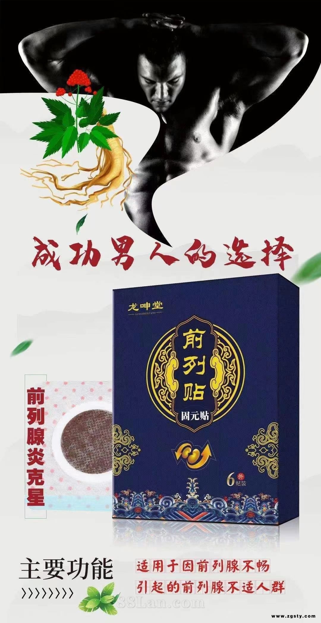 前列腺贴