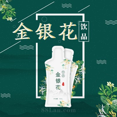 金银花草本植物饮品