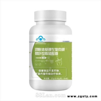 鸿悦本草牌左旋肉碱荷叶绞股蓝胶囊