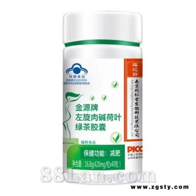 左旋肉碱荷叶绿茶胶囊