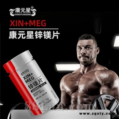 康元星锌镁片