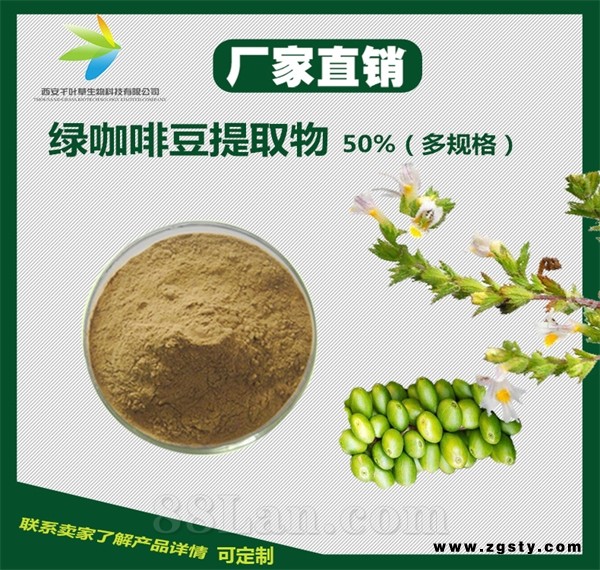 绿咖啡豆提取物 减肥产品原料