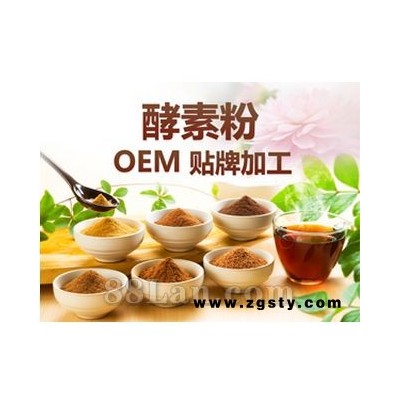 果蔬酵素粉 畅酵元素