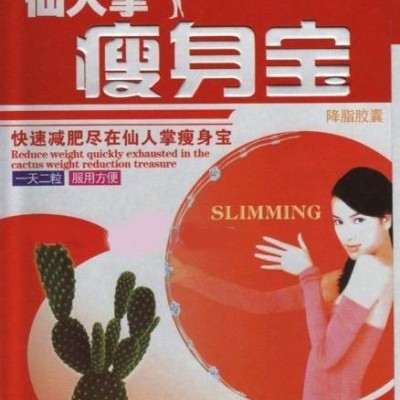 仙人掌 瘦身宝