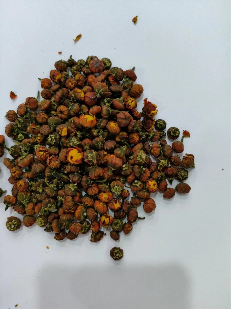 雪菊.jpg