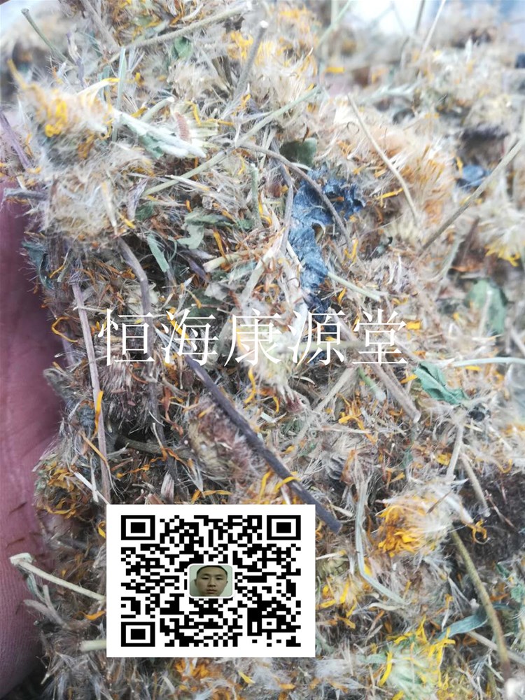 【品 名】 旋复花6_副本.jpg