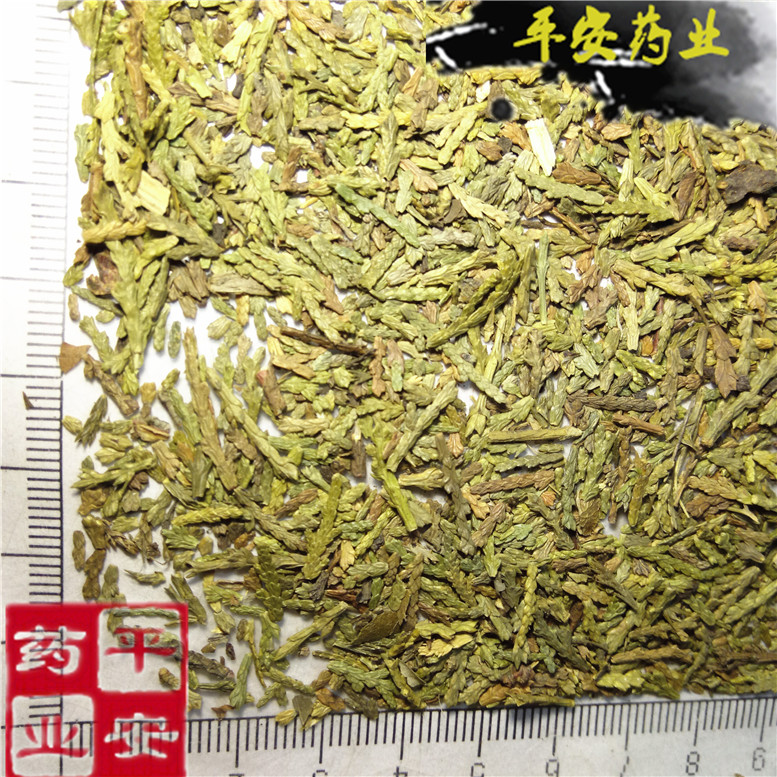 侧柏5龙~06_副本.jpg
