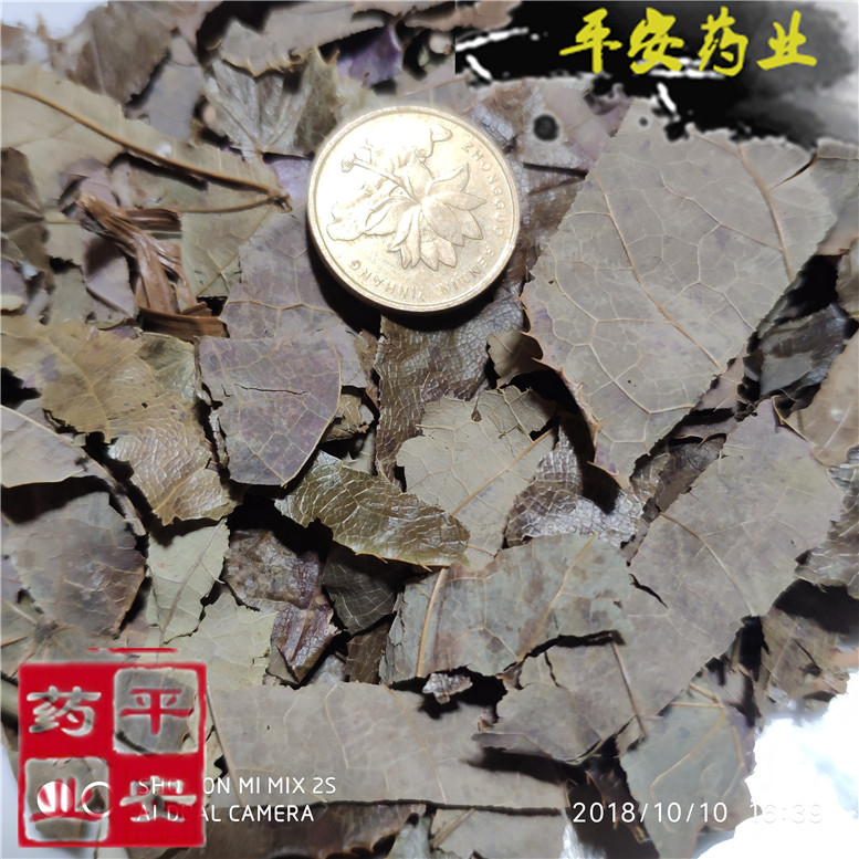 淫羊藿四川35吕屋~06_副本.jpg