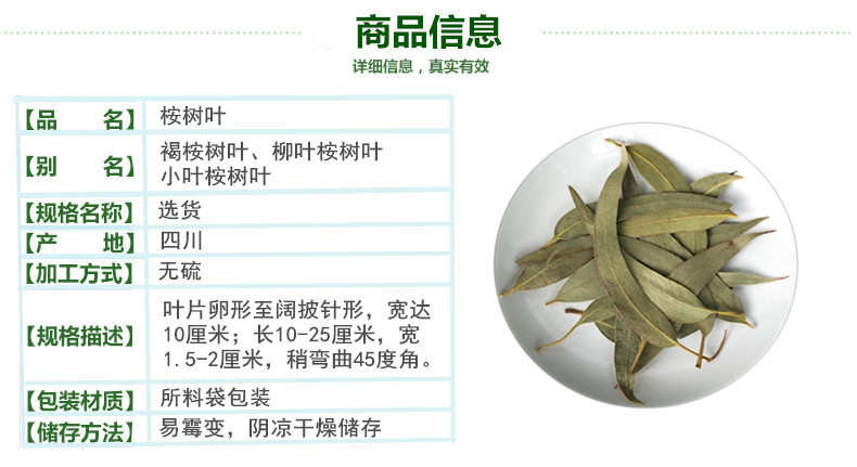 桉树叶2.jpg