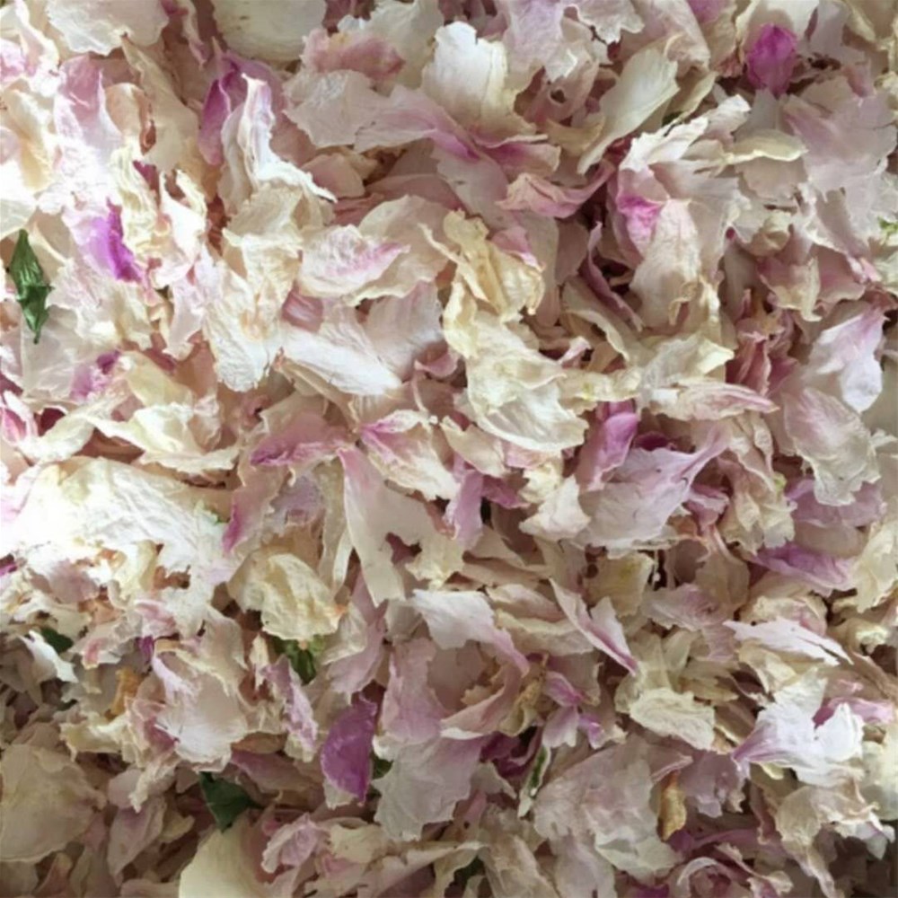牡丹花4.jpg