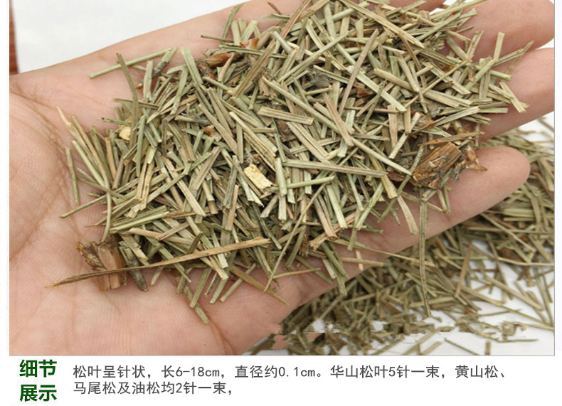 松针4.jpg