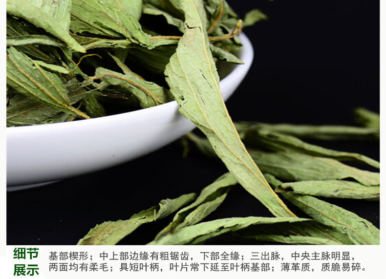 甜叶菊4.jpg