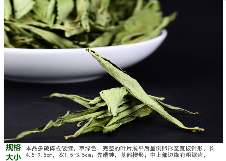甜叶菊5.jpg