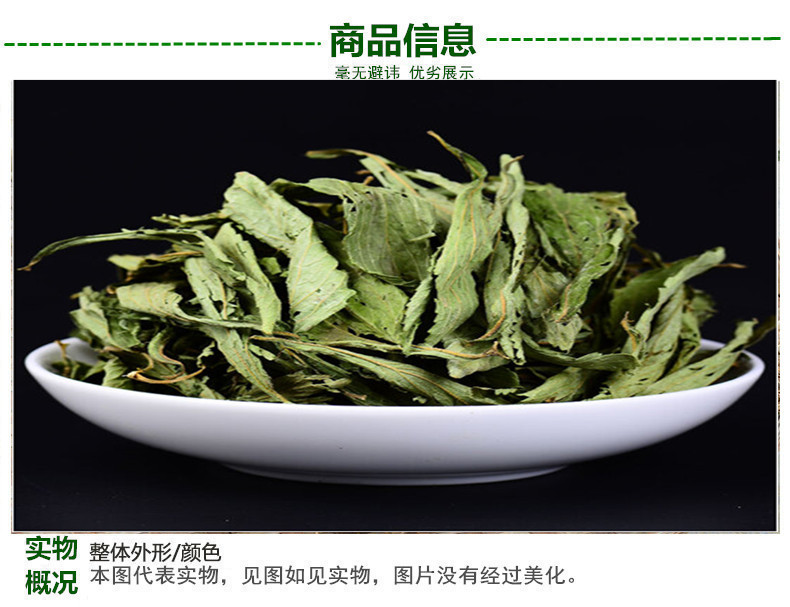 甜叶菊3.jpg