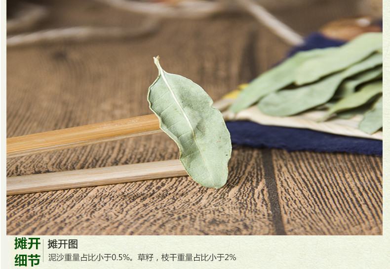 罗布麻叶4.jpg
