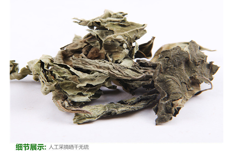 梧桐4.jpg