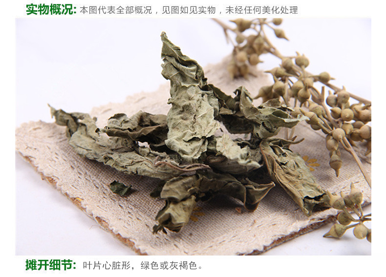 梧桐3.jpg