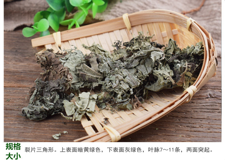 芙蓉叶5.jpg