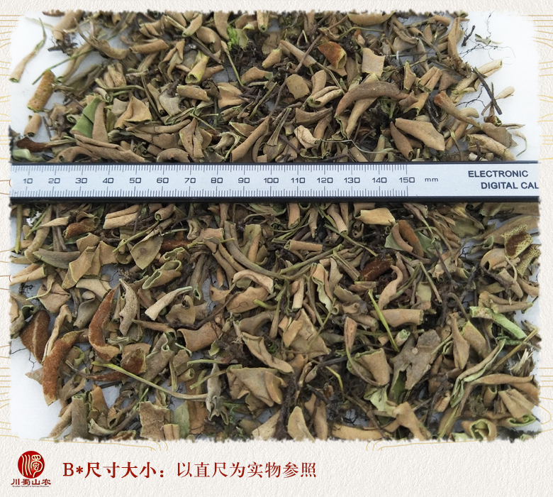 cstcssnshiyexiaoyetonghuo09.jpg