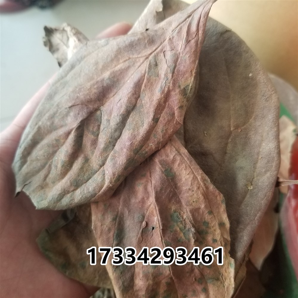 20190315_131829.jpg