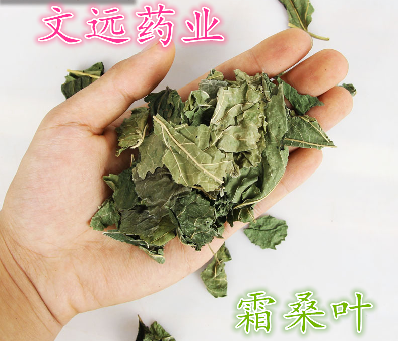 QQ图片20190606132855_副本.png