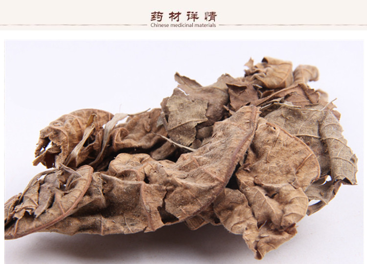 无花果叶2.jpg