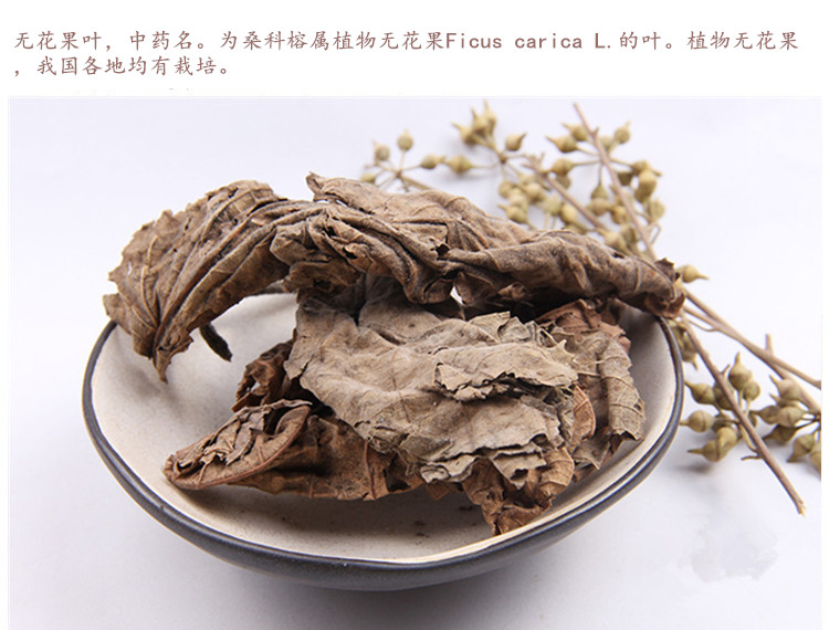 无花果叶3.jpg