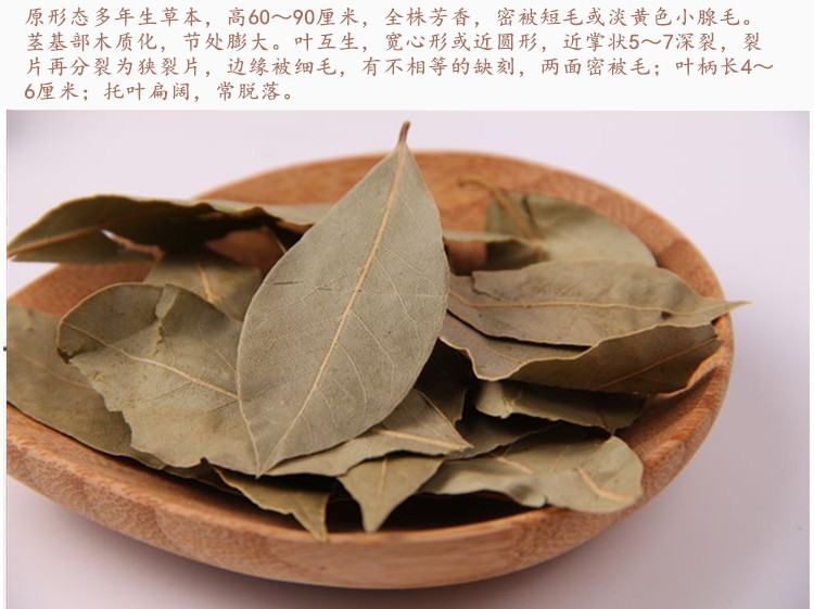 香叶2.jpg