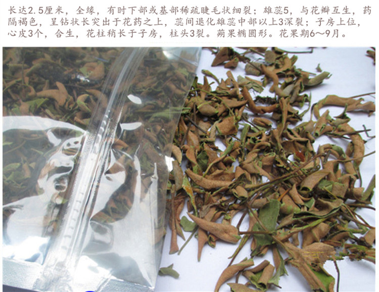 肺心草5.jpg