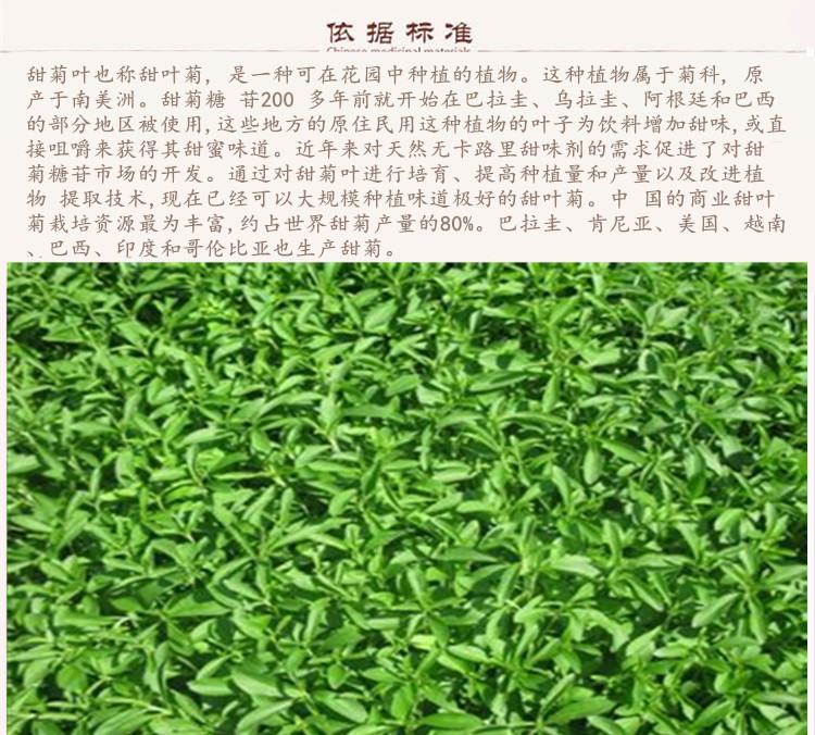 甜菊叶9.jpg