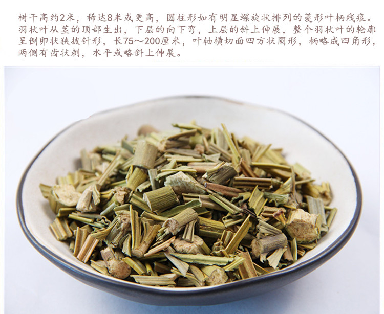 铁树叶5.jpg