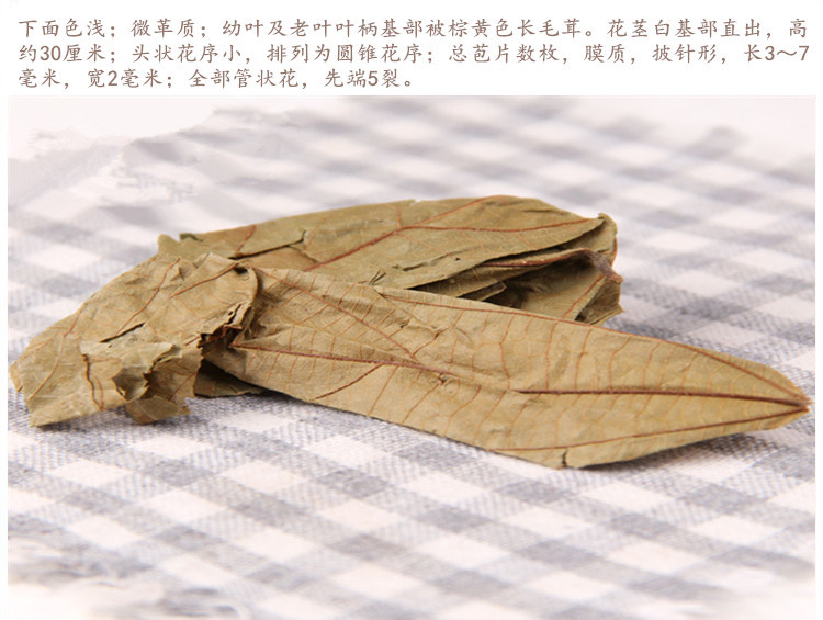 布渣叶4.jpg