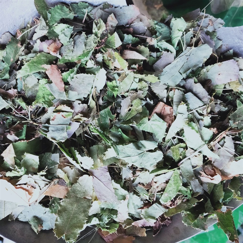QQ图片20190510104007.jpg