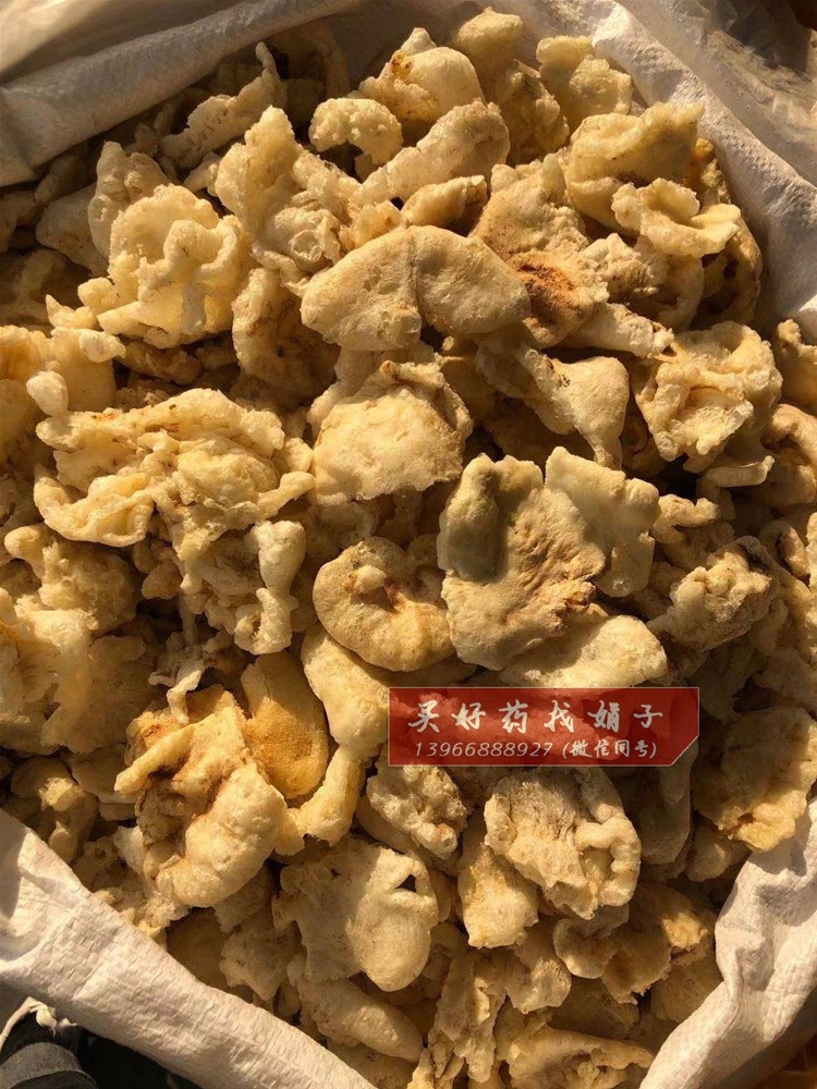 沙烫鱼鳔 100 ).jpg
