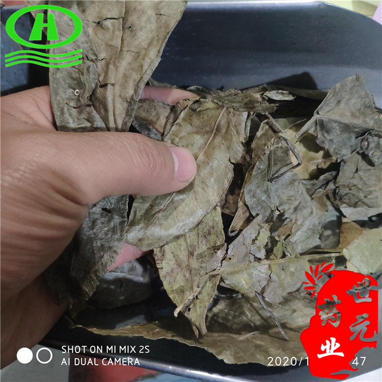 山香圆叶35康两指剑千打锤七寸钉_副本.jpg