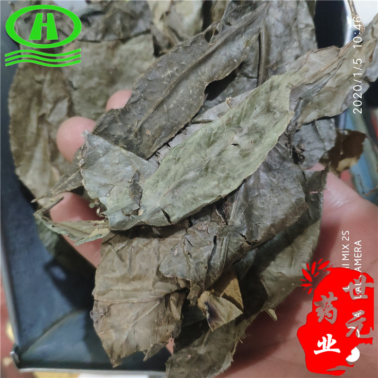 山香圆叶35康两指剑千打锤七寸钉~06_副本.jpg