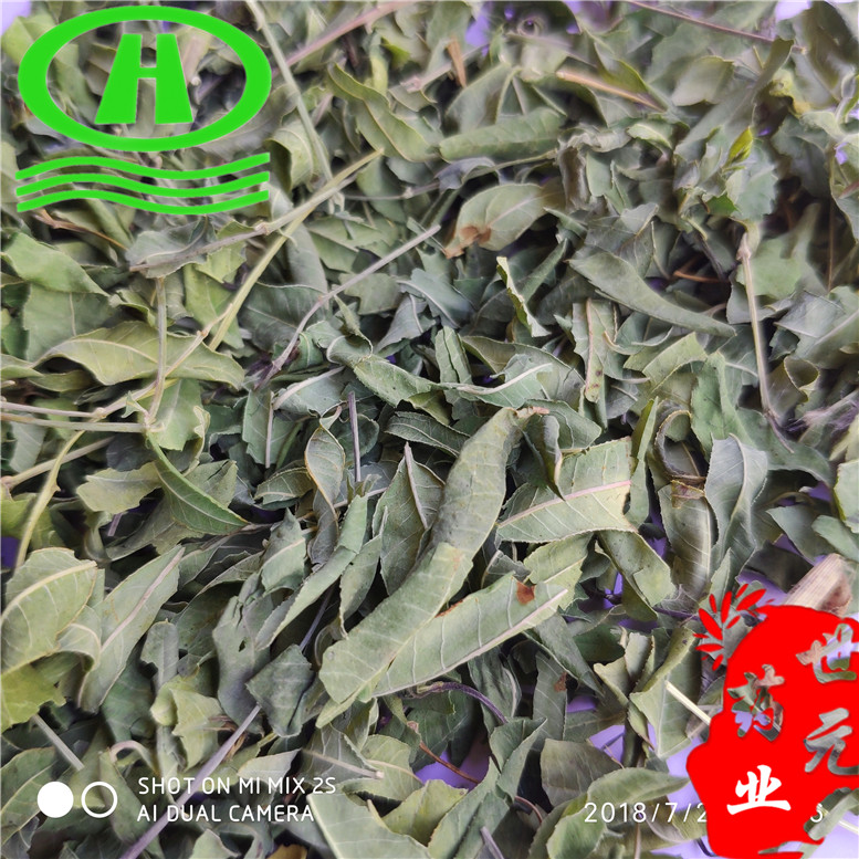 罗布麻药用24吕屋~09_副本.jpg