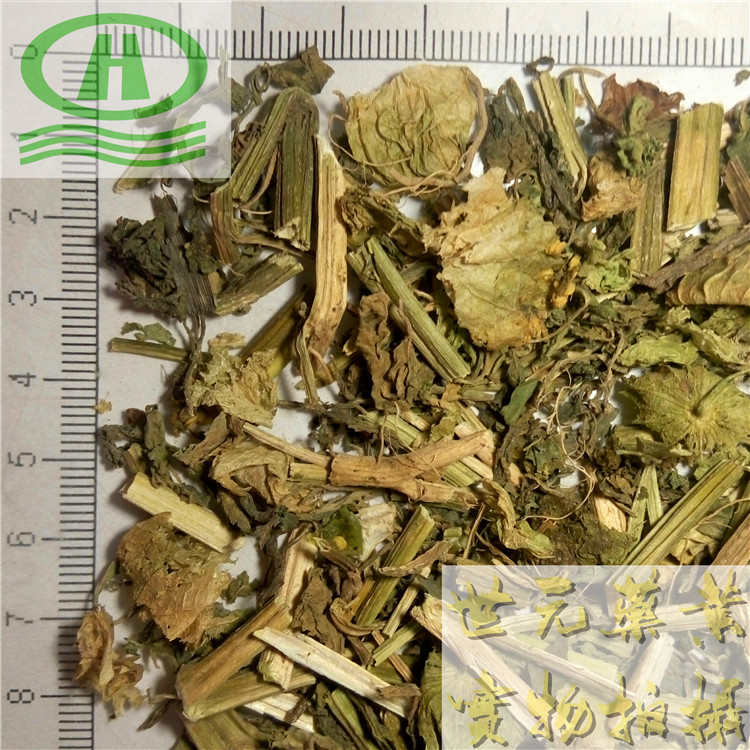自然色山西丹参圆片18统片~09_副本.jpg