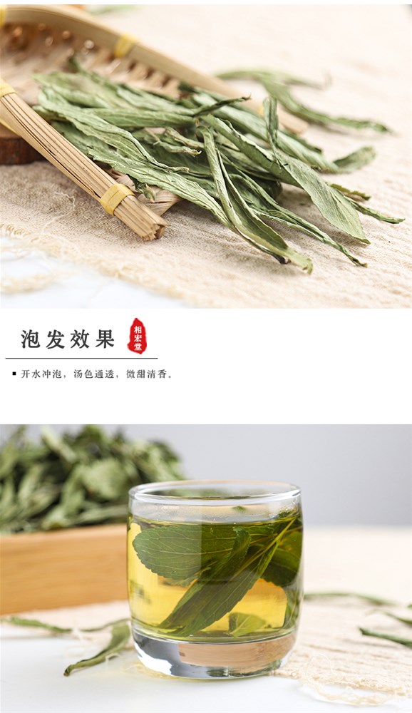 甜叶菊_06.jpg