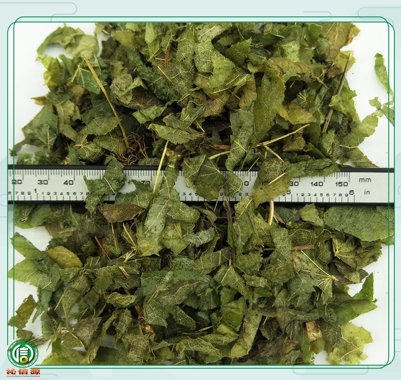 yangyouzhiyinyanghuo08.jpg