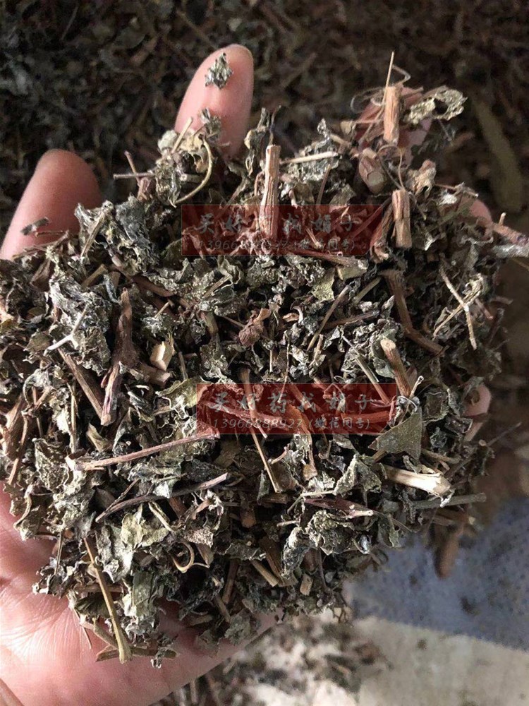 药王茶 藤茶21.jpg