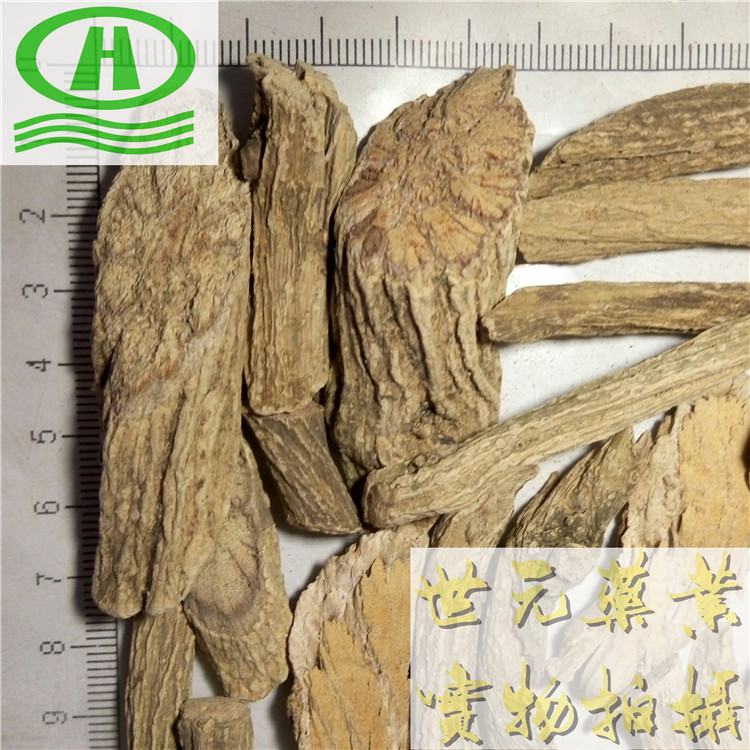 自然色山西丹参圆片18统片~09_副本.jpg