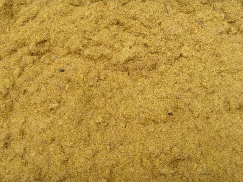 蒲黄粗粉.jpg