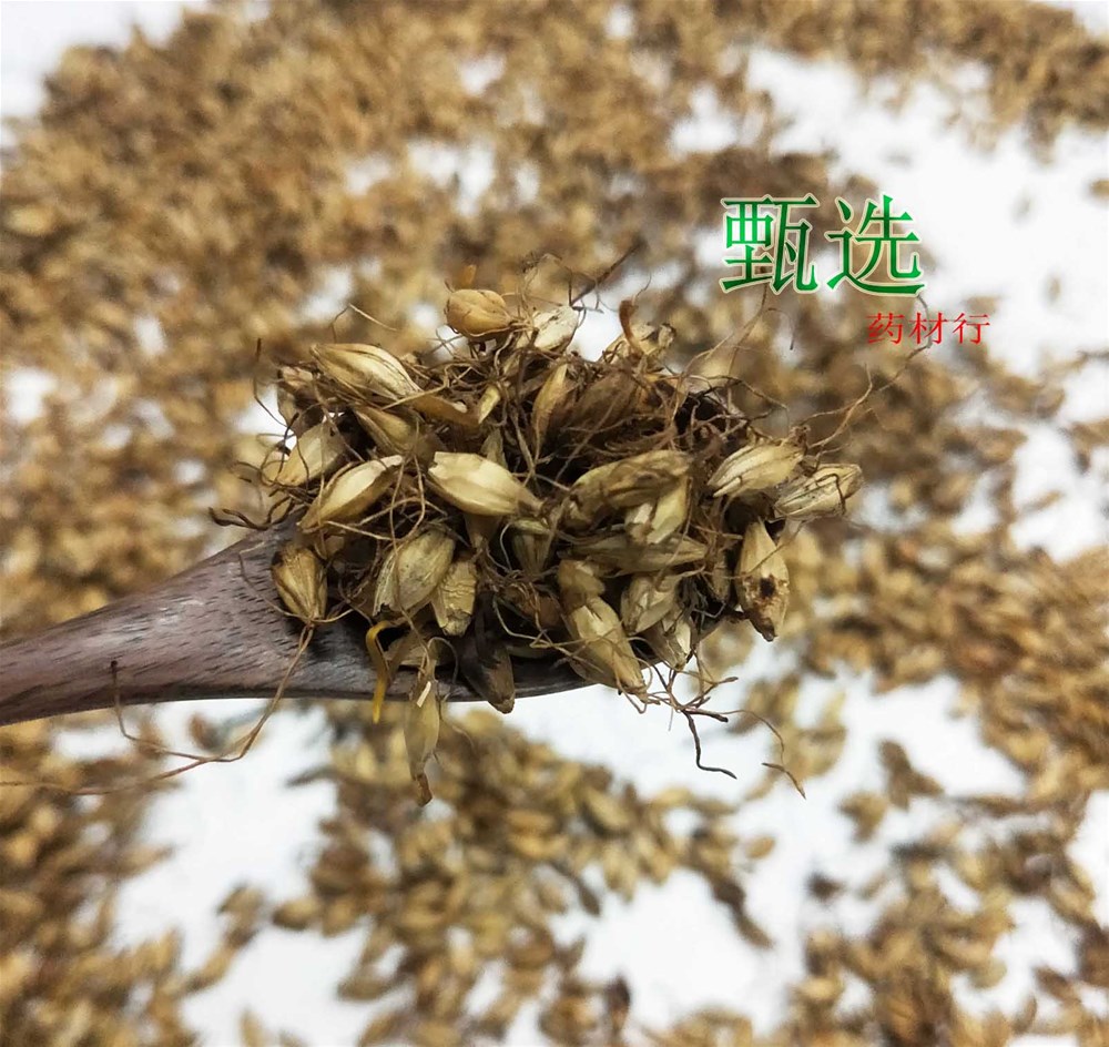 炒麦芽水印7.jpg