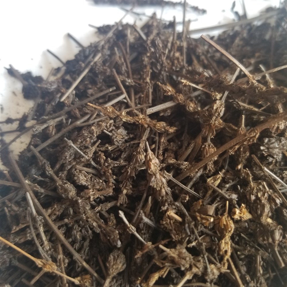 20190525_112728.jpg